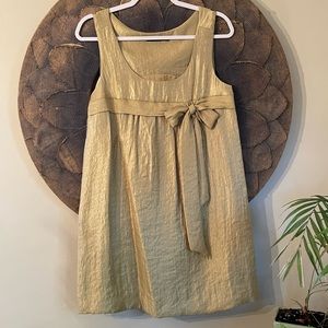 The Limited Gold Party Dress